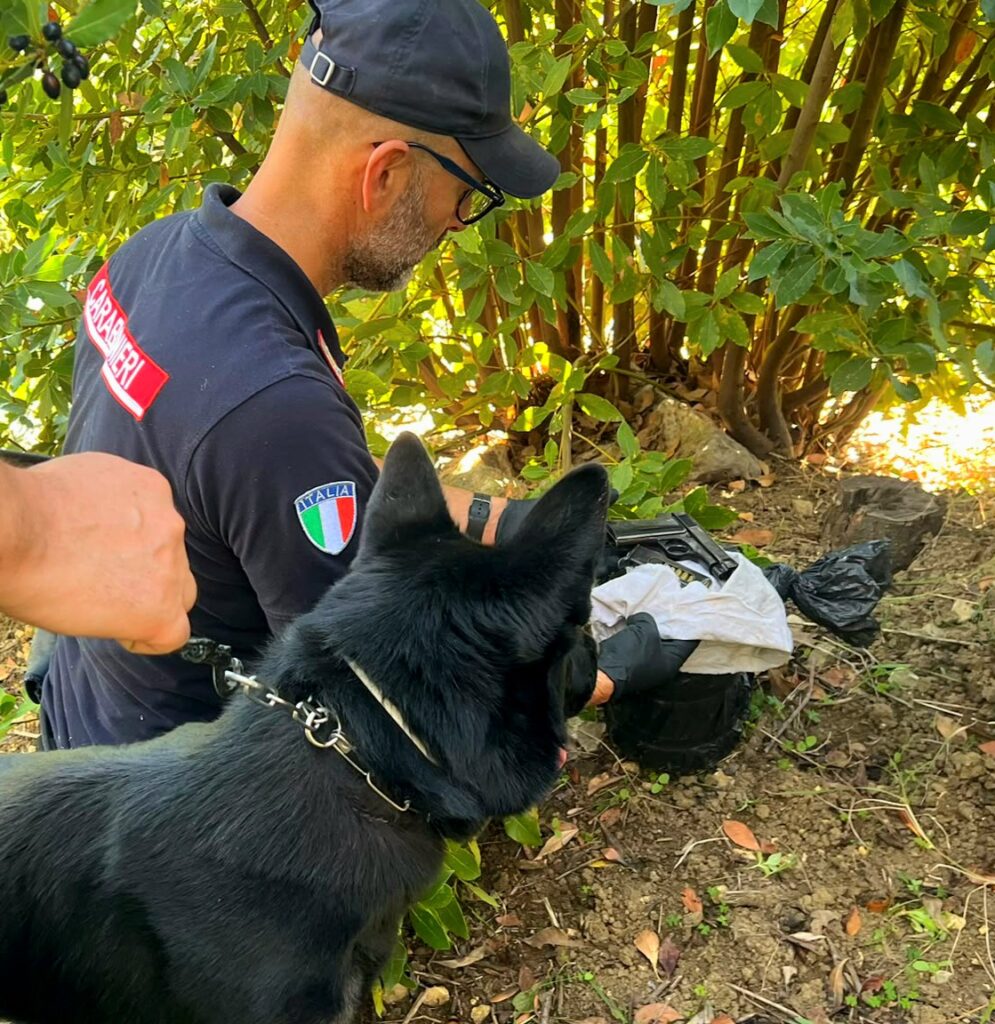 Pioppo, pistola con matricola abrasa e hashish: arrestato 50enne Pioppo, pistola con matricola abrasa e hashish: arrestato 50enne